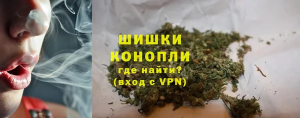 шишки Бронницы
