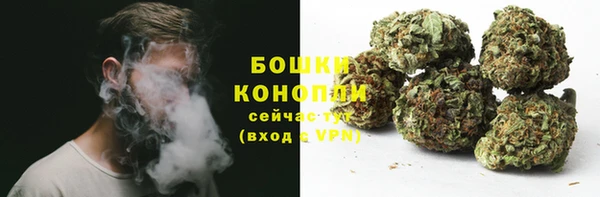 шишки Бронницы