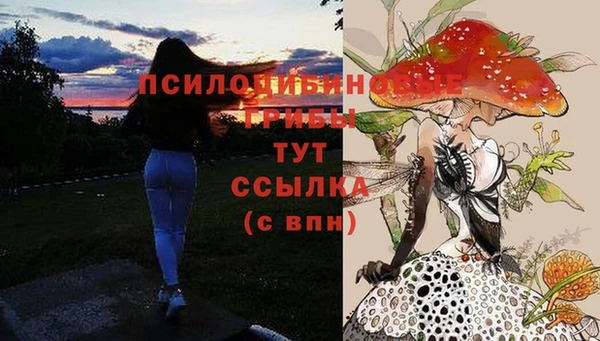 сатива Бугульма
