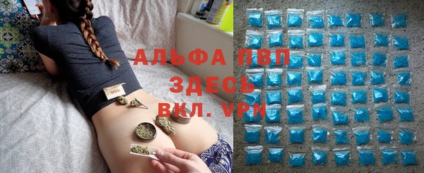 сатива Бугульма