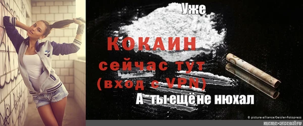 шишки Бронницы